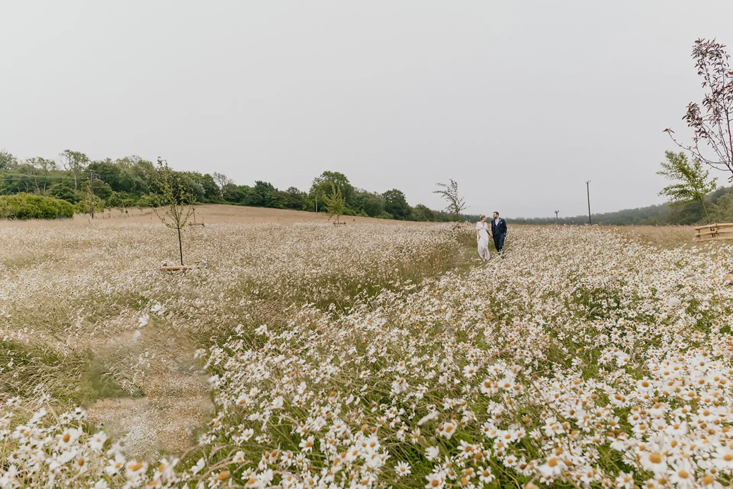 Upwaltham Barns couple in field of flowers