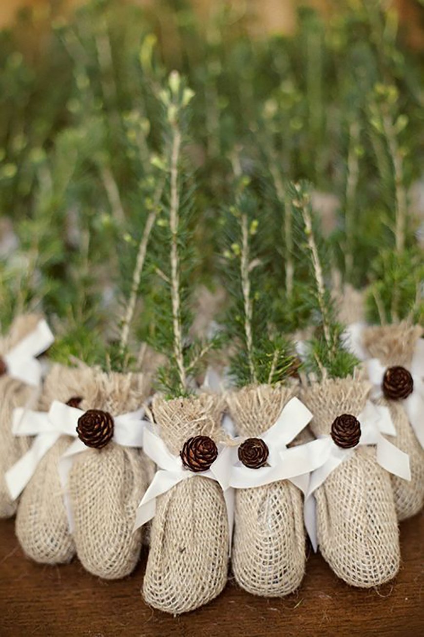 20 Festive Favours for a Winter Wedding - Evergreens | CHWV