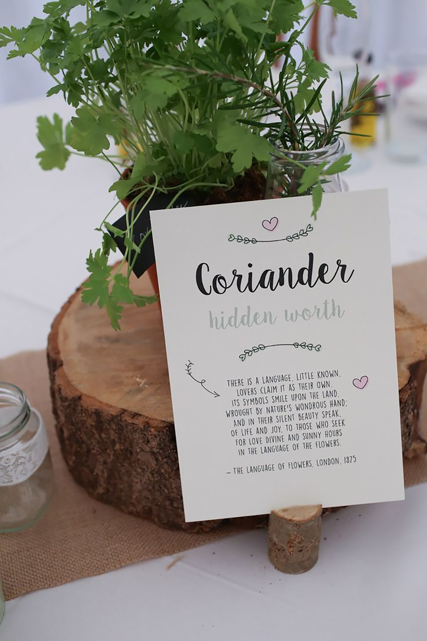 30 Amazing Wedding Table Name Ideas - A whole lotta herbs | CHWV